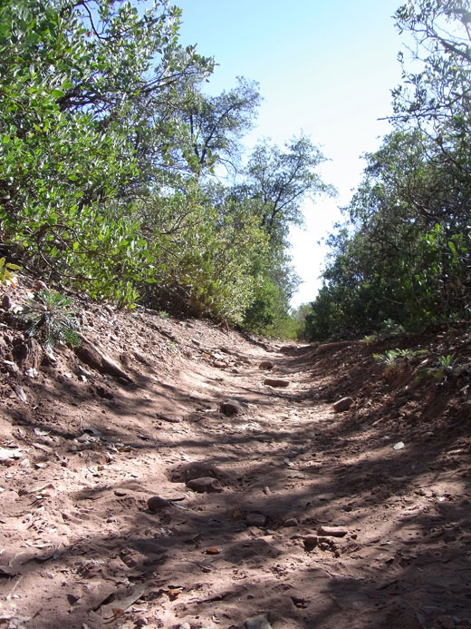 Trail1.jpg